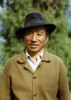 Orgyen Tobgyal Rinpoche